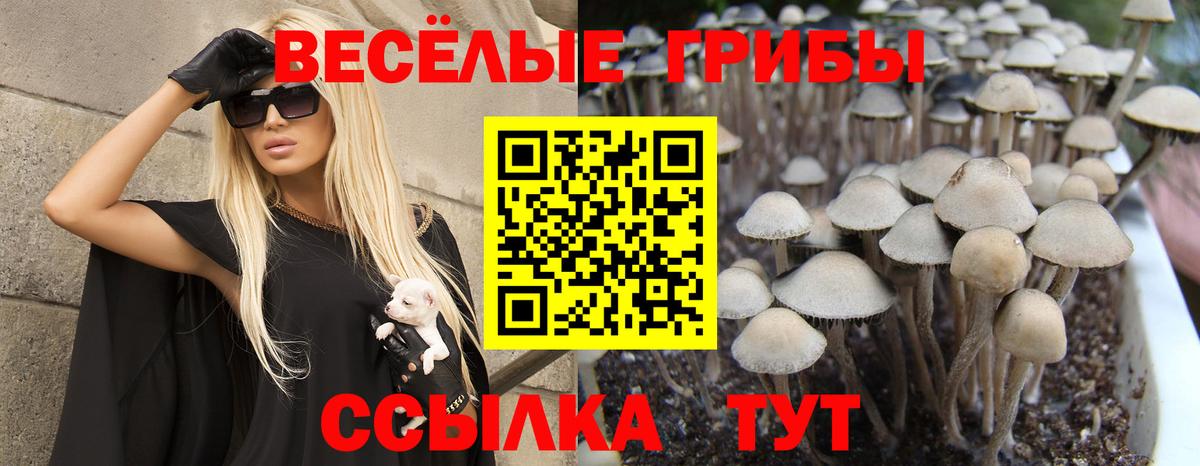 Каспийск  Псилоцибиновые грибы GOLDEN TEACHER  Вход с VPN 